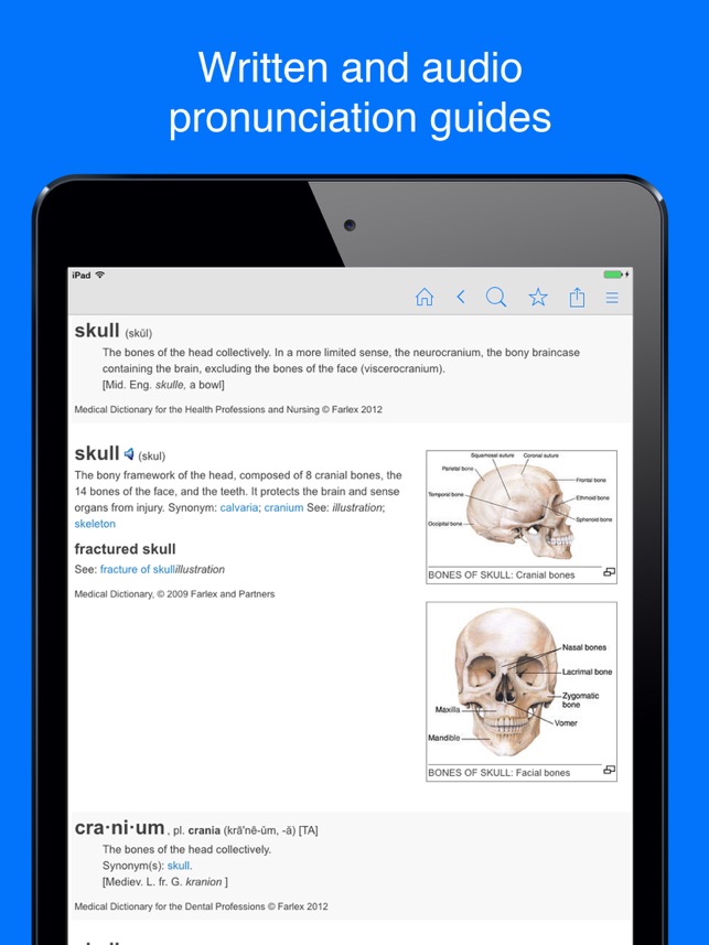 Download free dictionary for computer